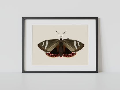 Print Mariposa del Chagual