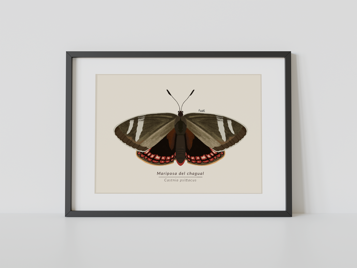 Print Mariposa del Chagual