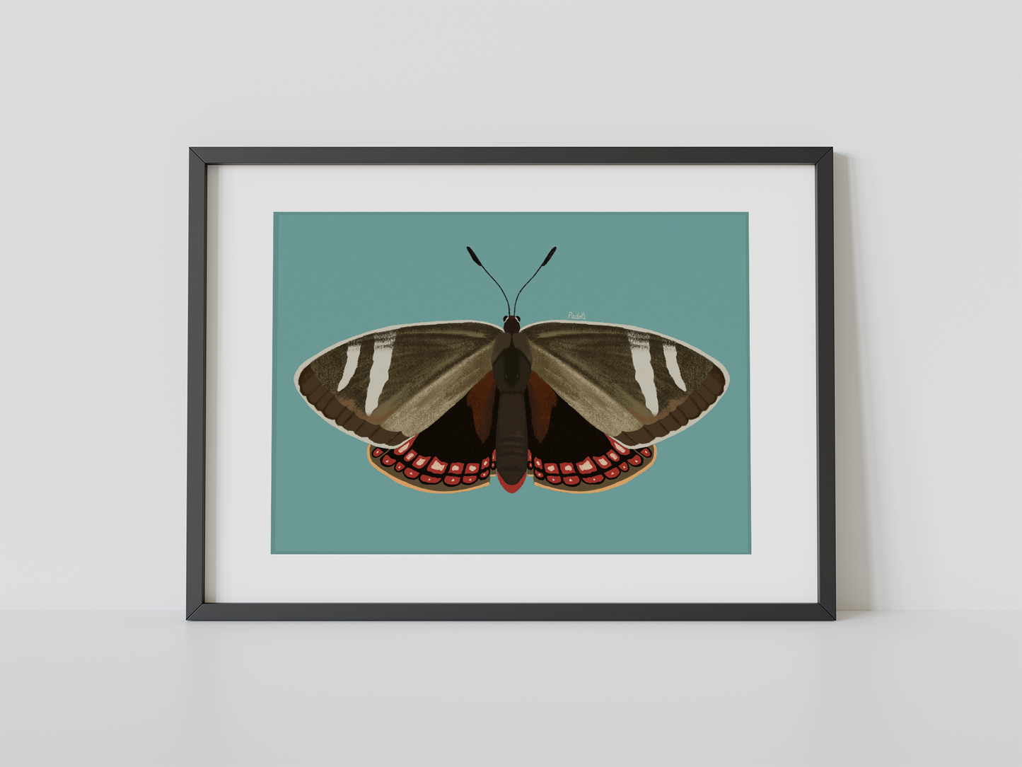 Print Mariposa del Chagual