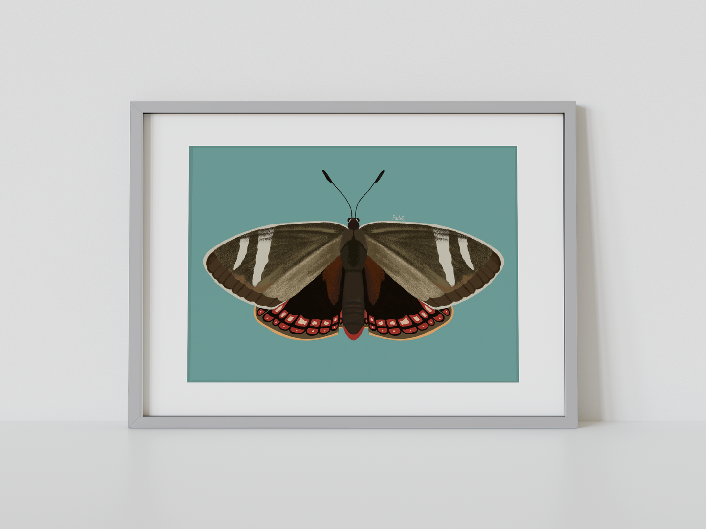 Print Mariposa del Chagual