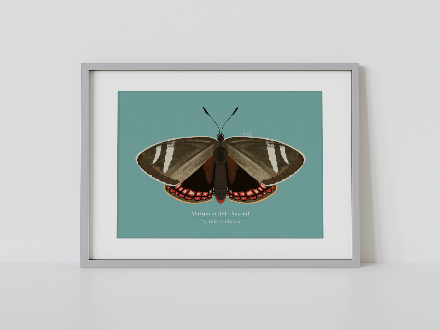 Print Mariposa del Chagual