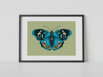 Print mariposa tropical III