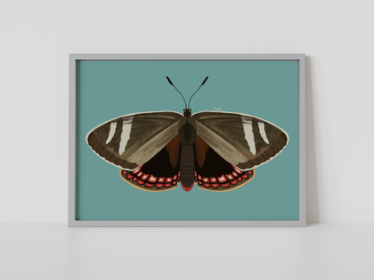 Print Mariposa del Chagual