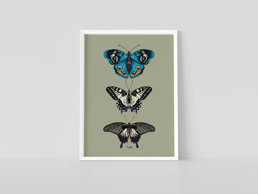 Print composición de mariposas tropicales