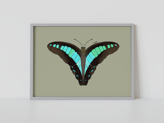 Print mariposa tropical II