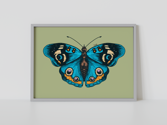 Print mariposa tropical III