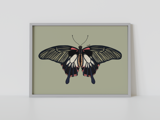 Print mariposa tropical IV