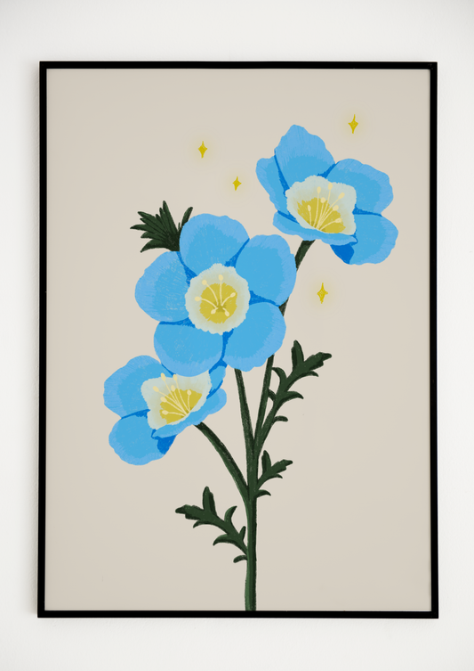 Nemophila